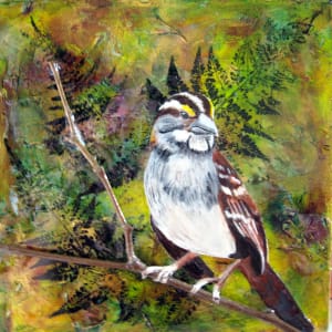 "White Throated Sparrow", Mixed Media on Canvas, 8"x8" by Lisa Wiertel
