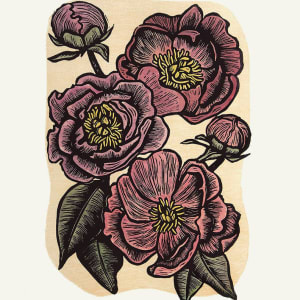 Peonies by Carolyn Howse