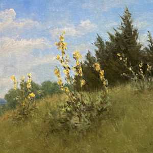 Caddo Sunflowers by Karla Brady