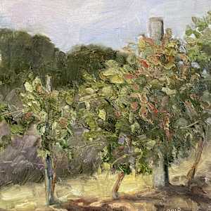 Myers Park Vineyard by Karla Brady