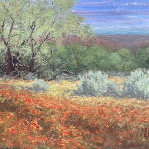 The Desert Rejoices by Karla Brady, Image 1.