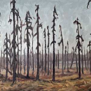 The Time In Between by Amber Bryans 