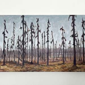 The Time In Between by Amber Bryans 