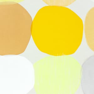 soleil by Simone Christen  Image: close-up