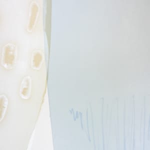 a closer look by Simone Christen  Image: close up