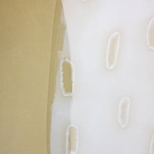 a closer look by Simone Christen  Image: close up