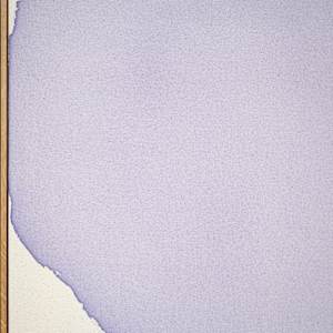 the lilac by Simone Christen  Image: close up