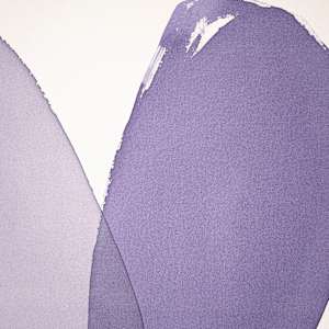 nocturnal violet by Simone Christen  Image: close up