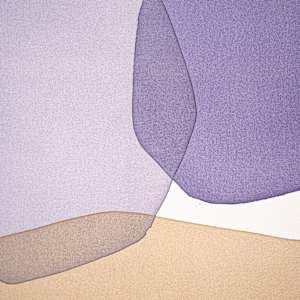 nocturnal violet by Simone Christen  Image: close up