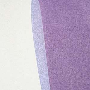 elderberry by Simone Christen 