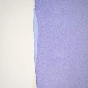 dream of a swallow by Simone Christen  Image: close up