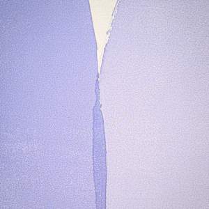 dream of a swallow by Simone Christen  Image: close up