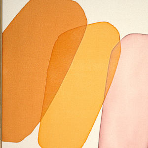 round dance by Simone Christen, Image 2.