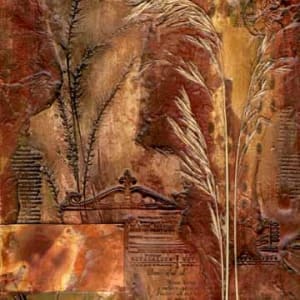 Architectural Grasses, Image 1.
