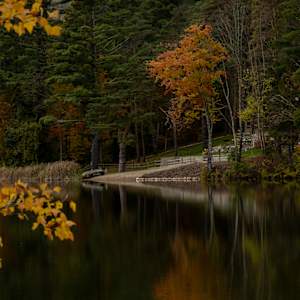 Serenity by Lacey Nobles