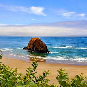 Isolated Beauty by Weihua Zhao