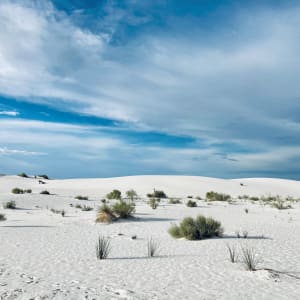 White Sand Dune by Alphonse Brown