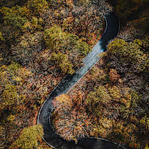 Bird's Eye view of fall foliage by Lacey Nobles