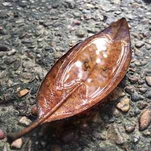 Coexist by Jennifer Berman