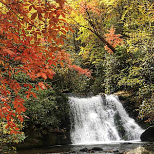 Fall Waterfall by Elizabeth Laguaite