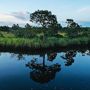 Upon Reflection by Darrien Mitchell