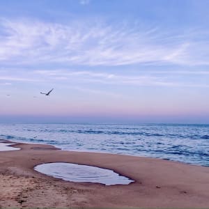 Sunset Beach by Vadim Sherman, MD