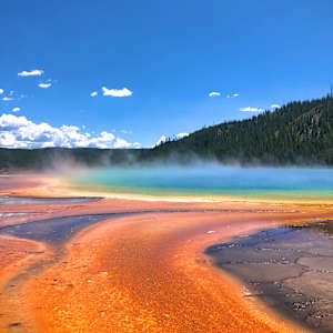 Vibrant Geyser by Elizabeth Sparrow