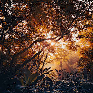 Nature's Glow by Valerio Jacosalem