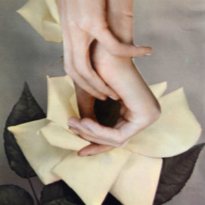 ALBERIC BARBIER by Ariane Severin, Image 1.