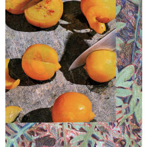 Lemon Meringue by Suzy Kopf