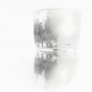 Ines Temperley _ Forest I by Da Silva Gallery / GALLERyLABS