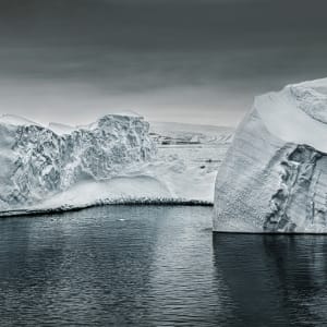 Foco En, Herencia Vulnerable XIX (19) by Da Silva Gallery / GALLERyLABS