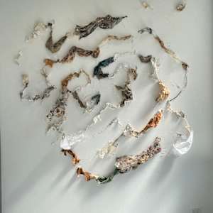 Sappho's Hipbone by Juliet D Collins