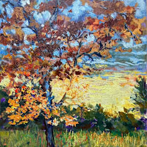 Radiance by susan tyler