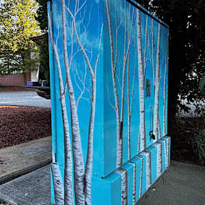 A Stand of Birches by Scott Froeschl 