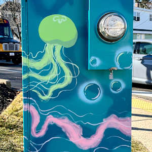 Prismatic Tides by Elizabeth Mahady, Kira Bester 