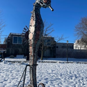 Seahorse by Jose Criollo 