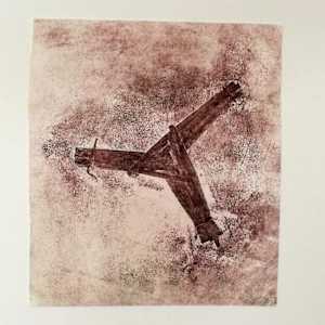 Crosóga by Pamela de Brí 