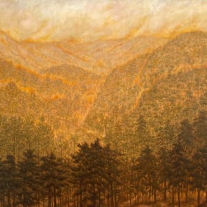 Fuegos Lejanos - Fuego En La Distancia by Estate Rodolfo Abularach