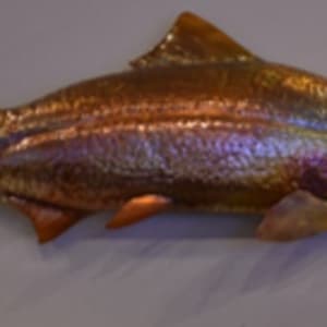 Copper Salmon by Clark Mundy