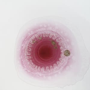 01.  Open Sutra by A. D. Herzel