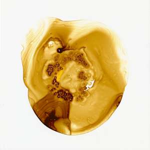 Square Pearl  4 by Michelle Concepción