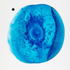 Turquoise 12 by Michelle Concepción, Image 2.