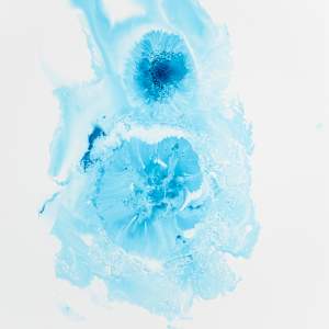 Turquoise 17 by Michelle Concepción