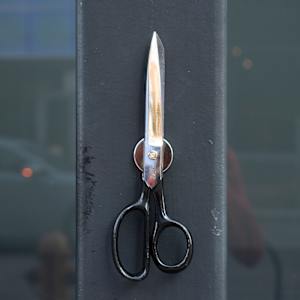 Perfectly Good Scissors by Max Maddox