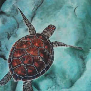 Turtle in Turquoise by Anne Cowell