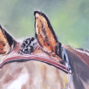 Teddy by Anne Cowell  Image: 4-Detail forelock