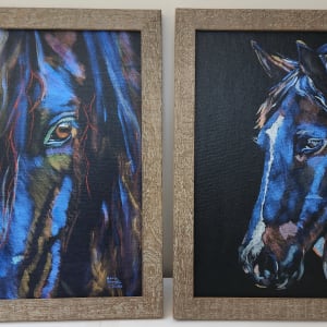 Illuminated by Anne Cowell  Image: Dazzled and Illuminated in matching frames.