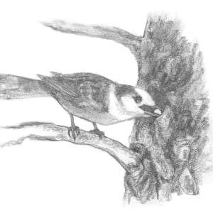 Caching by Abby McBride