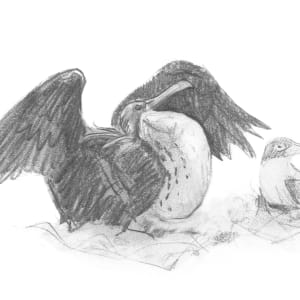 Display by Abby McBride